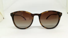 Gafa de Sol Hoopoe 40009 - Optica Aguaviva